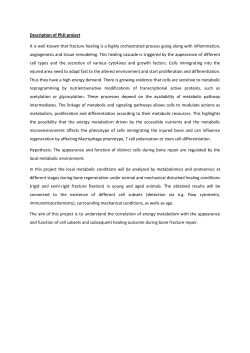 Description of PhD project It is well known that fracture healing is a