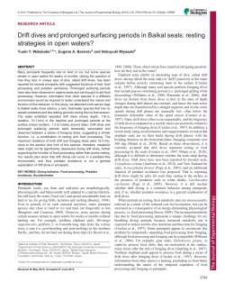 Drift dives and prolonged surfacing periods in Baikal seals: resting