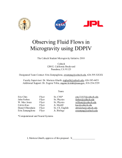 Observing Fluid Flows in Microgravity using DDPIV