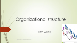 Organizational structure