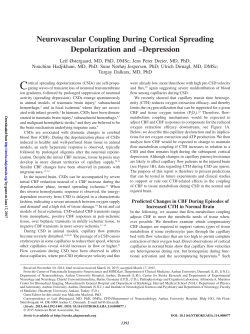 Depolarization and &ndash;Depression Neurovascular Coupling