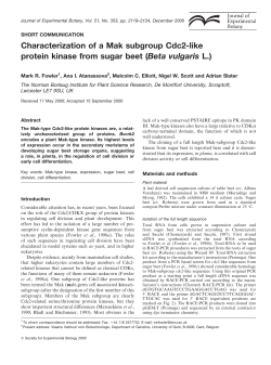 Characterization of a Mak subgroup Cdc2