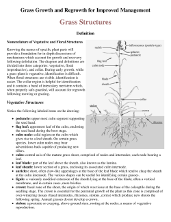Grass structure and definitions - Friends of the Wildflower Garden