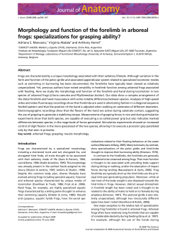 Morphology and function of the forelimb in arboreal frogs