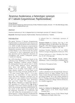 Teramnus hookerianus, a heterotypic synonym of T. labialis