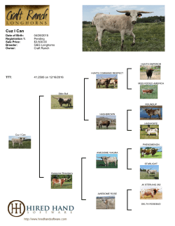 Cuz I Can - Craft Ranch