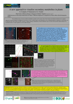 A new approach to visualize secondary metabolites in - Phiv