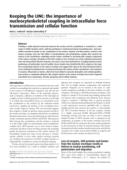 Keeping the LINC: the importance of nucleocytoskeletal coupling in