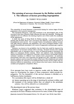 The staining of nervous elements by the Bodian method I. The