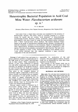 Heterotrophic Bacterial Population in Acid Coal Mine Water