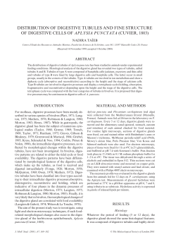 distribution of digestive tubules and fine structure of digestive cells of