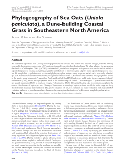 Phylogeography of Sea Oats (Uniola paniculata)