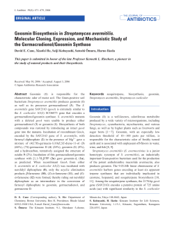 Geosmin Biosynthesis in Streptomyces avermitilis
