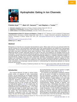 Hydrophobic Gating in Ion Channels