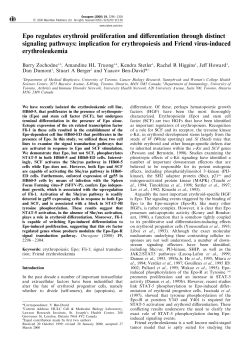 Epo regulates erythroid proliferation and di erentiation