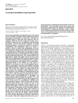 REVIEW Lysosomal metabolism of glycoproteins