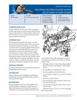 How long can zebra mussels survive out of water?