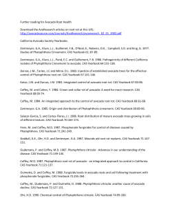 Avocado Root Rot Resources - California Avocado Commission