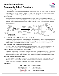 Carb Counting 101