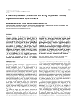 A relationship between apoptosis and flow during