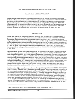 POLLINATION BIOLOGY OF NORTHERN RED AND BLACK OAK