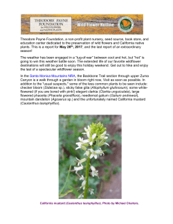 Theodore Payne Foundation, a non-profit plant nursery, seed source