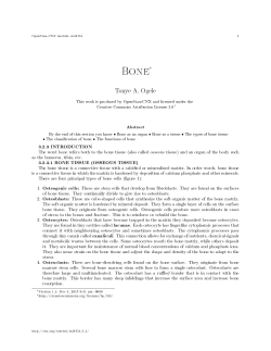 Bone - OpenStax CNX