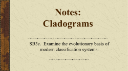 Notes: Cladograms