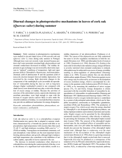 Diurnal changes in photoprotective mechanisms