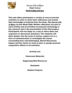 Secret Life of Bees - Training