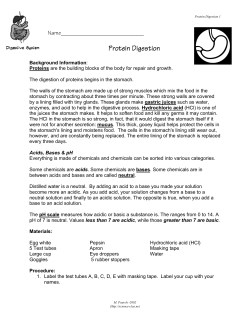 Protein Digestion - Milton