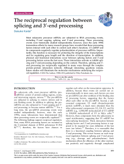 The reciprocal regulation between splicing and 3