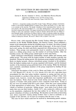 kin selection in rio grande turkeys: a critical assessment