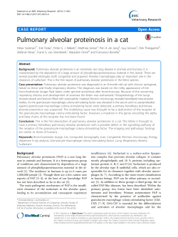 Pulmonary alveolar proteinosis in a cat