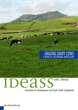 English - Ideassonline.org