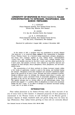 longevity of response in pinus radiata foliar