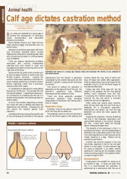 Cattle - Farming Ahead