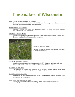 The Snakes of Wisconsin
