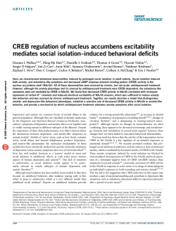 CREB regulation of nucleus accumbens excitability mediates social