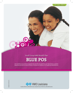 Small Group HMO Benefit Plan BLUE POS