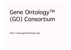 Gene OntologyTM (GO) Consortium