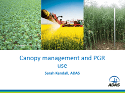 Title in sentence case