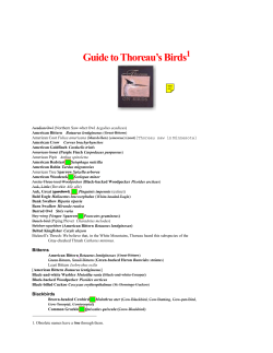 Guide to Thoreau`s Birds