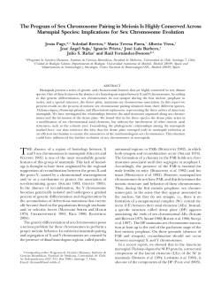 The Program of Sex Chromosome Pairing in Meiosis Is Highly
