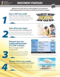 investment strategies - Golden Opportunities Fund Inc.