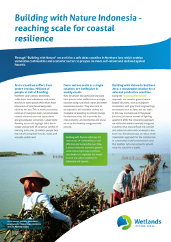 Building with Nature Indonesia - reaching scale for