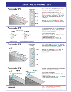 Parameter P1 Parameter P2 Parameter P3 Parameter P4