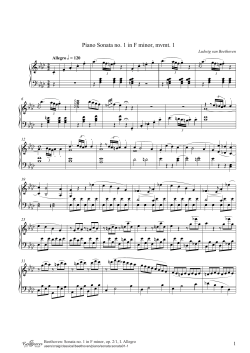 Piano Sonata no. 1 in F minor, mvmt. 1