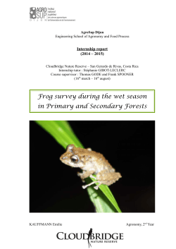Frog survey during the wet season in Primary and Secondary Forests