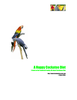 A Happy Cockatoo Diet